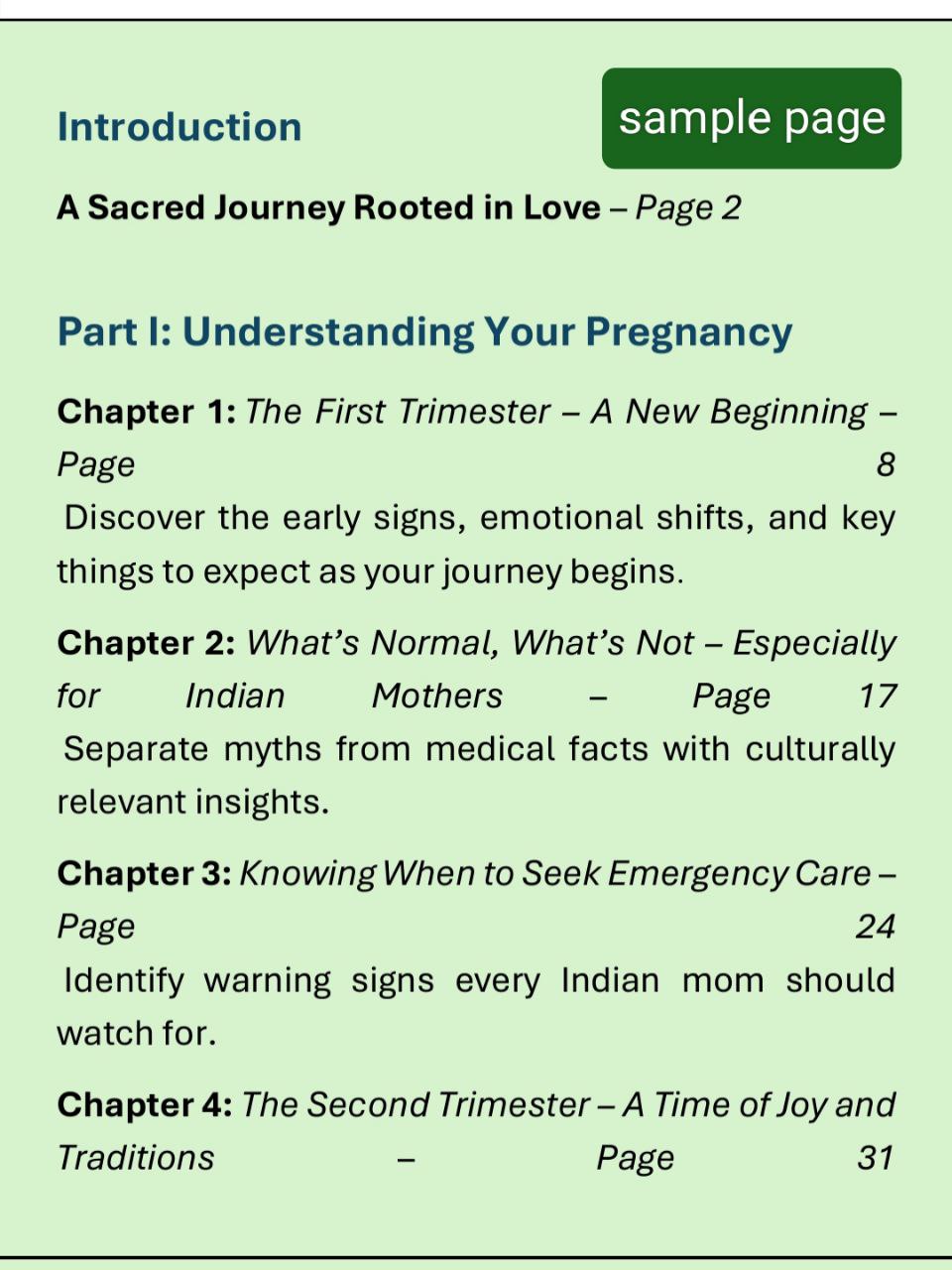 The Pregnancy Journey: Everything You Should Know in 73 Pages-eBook